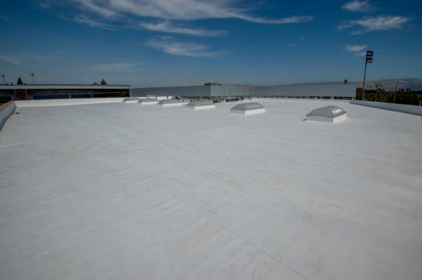 Best Roof Ventilation Installation  in Wliamsvle, IL