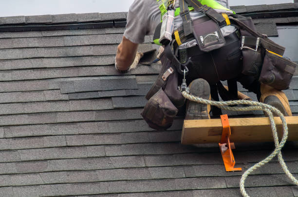 Best Rubber Roofing (EPDM, TPO)  in Wliamsvle, IL