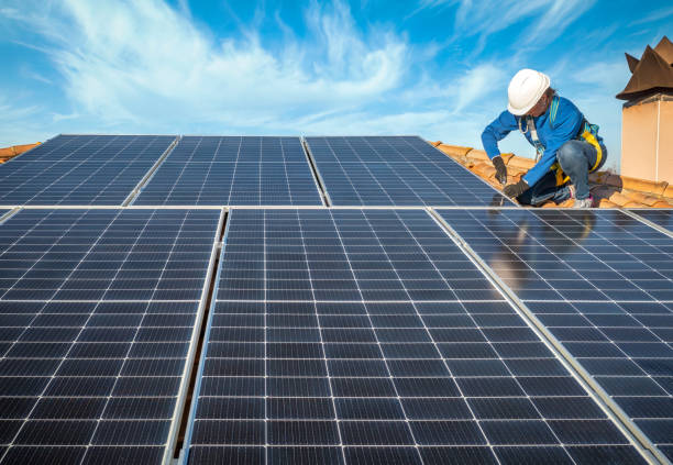 Best Roof Moss and Algae Removal  in Wliamsvle, IL