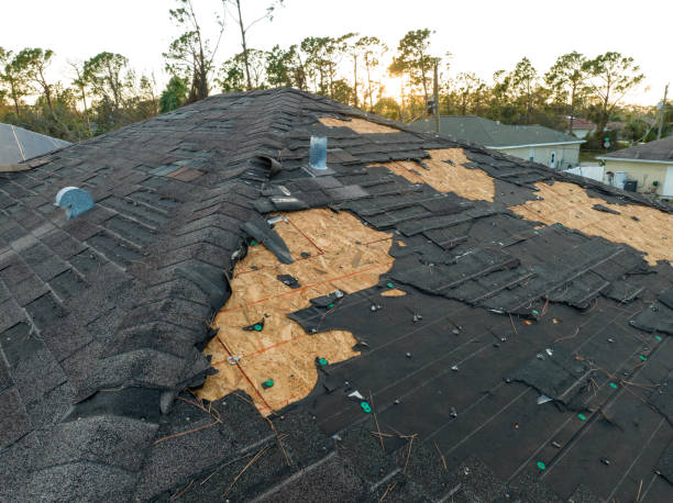 Best Commercial Roofing Services  in Wliamsvle, IL