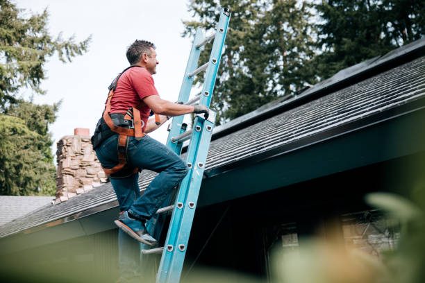 Best Green or Eco-Friendly Roofing Solutions  in Wliamsvle, IL